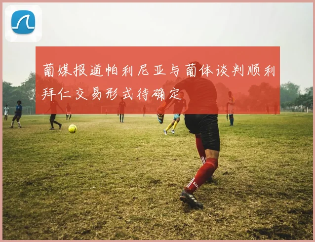 葡媒报道帕利尼亚与葡体谈判顺利拜仁交易形式待确定