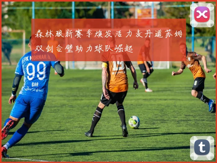 森林狼新赛季焕发活力麦丹道苏姆双剑合璧助力球队崛起